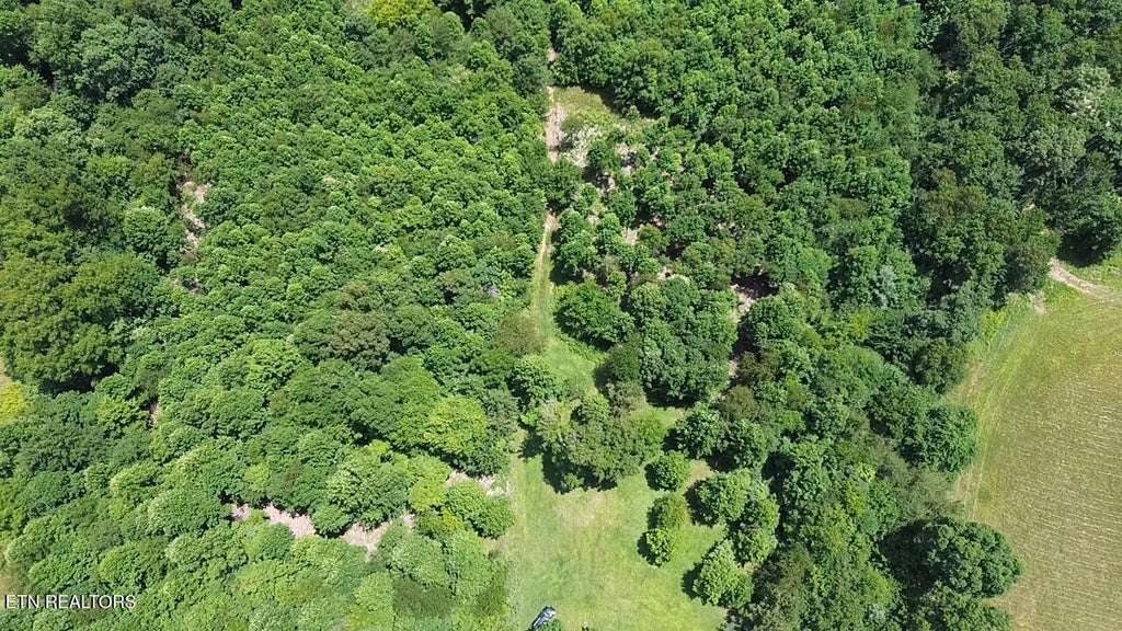 Photo of 182 Nydeck Rd, Robbins, TN 37852 (MLS # 1336969)