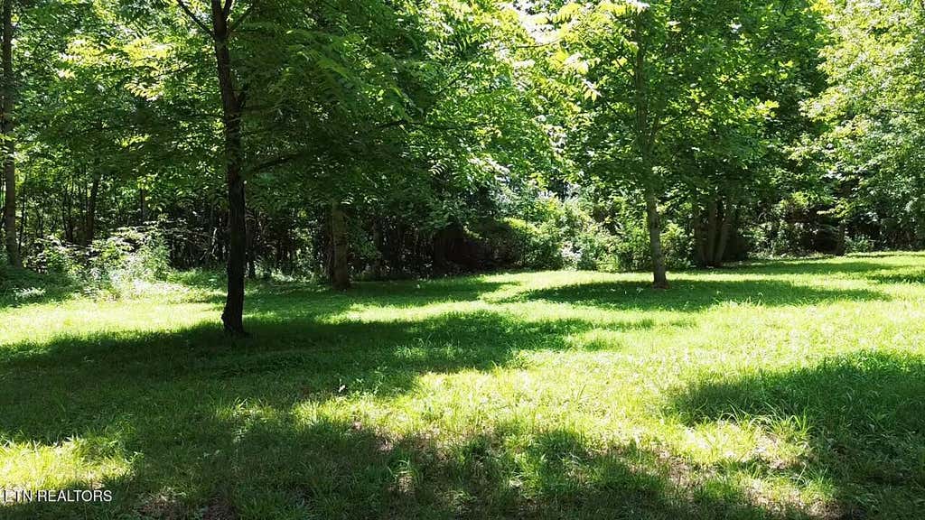 Photo of 182 Nydeck Rd, Robbins, TN 37852 (MLS # 1336969)