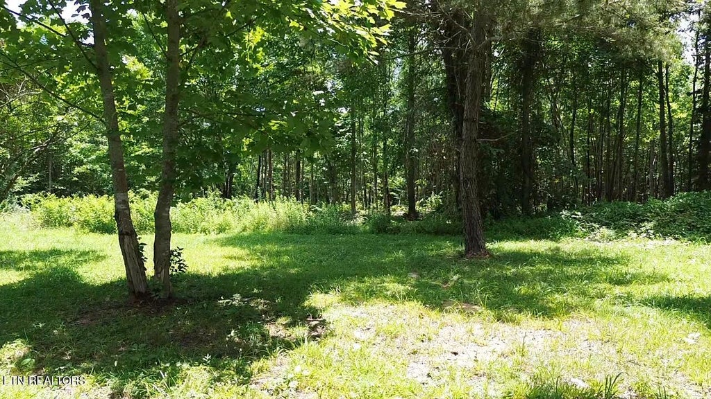 Photo of 182 Nydeck Rd, Robbins, TN 37852 (MLS # 1336969)
