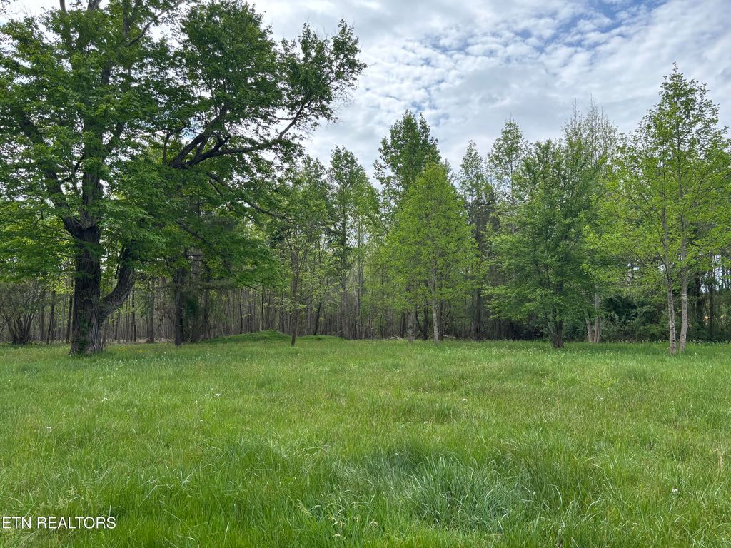 Photo of 182 Nydeck Rd, Robbins, TN 37852 (MLS # 1336969)