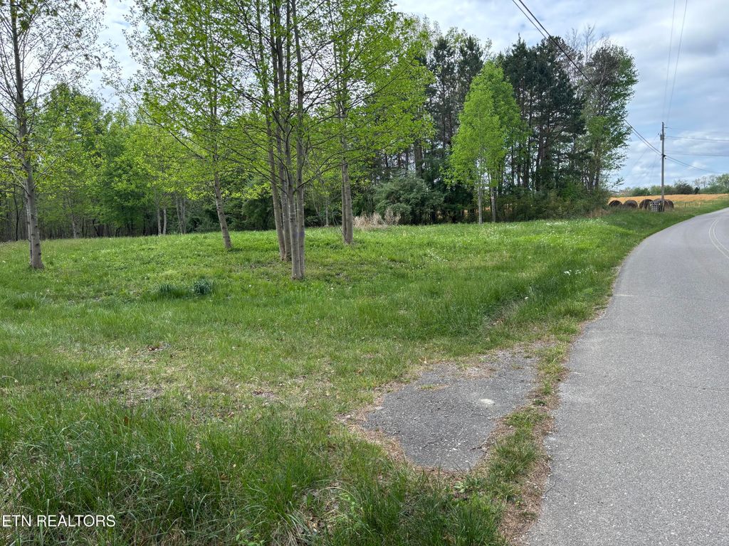 Photo of 182 Nydeck Rd, Robbins, TN 37852 (MLS # 1336969)
