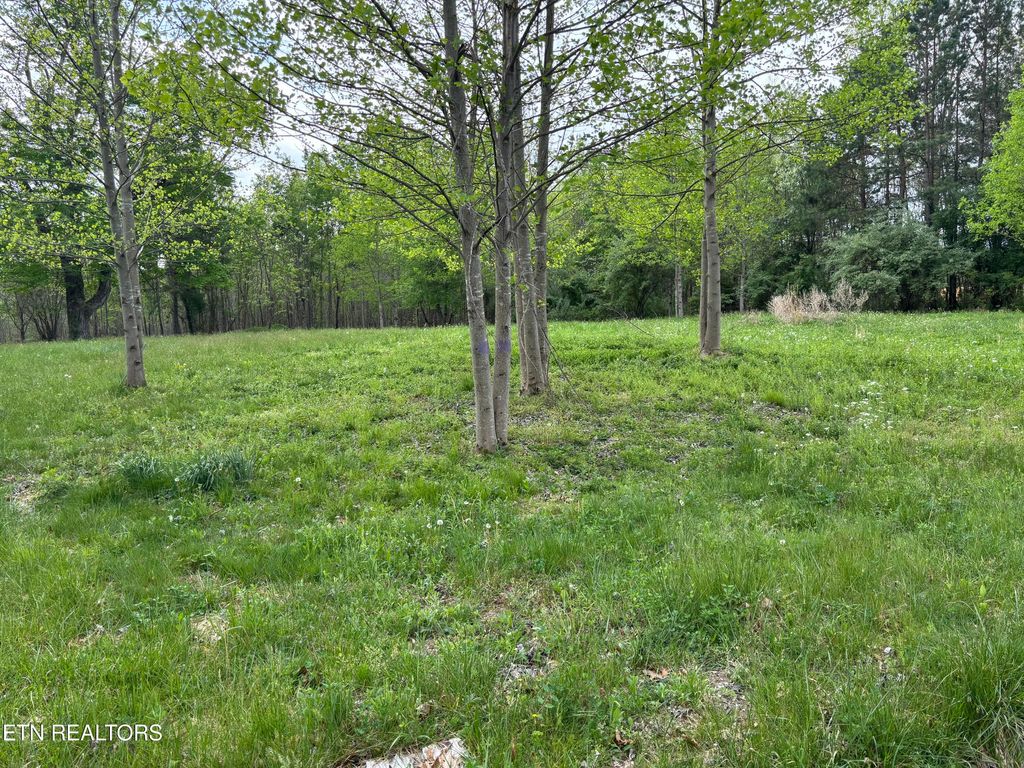 Photo of 182 Nydeck Rd, Robbins, TN 37852 (MLS # 1336969)