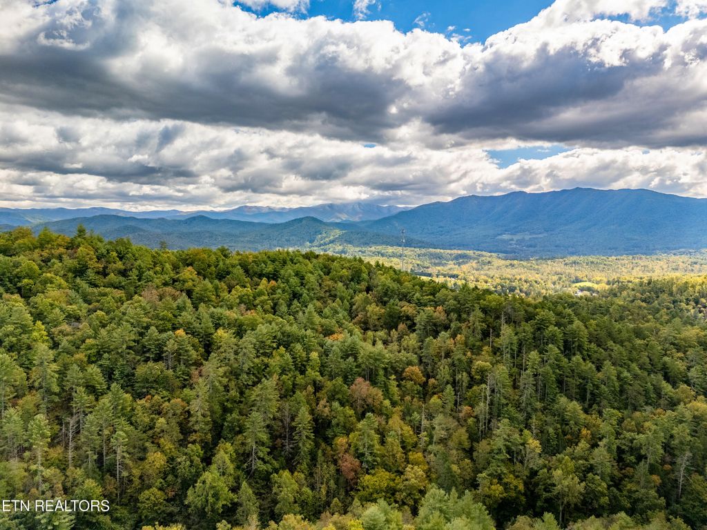 Photo of 348 Lovers Lane, Townsend, TN 37882 (MLS # 1280080)