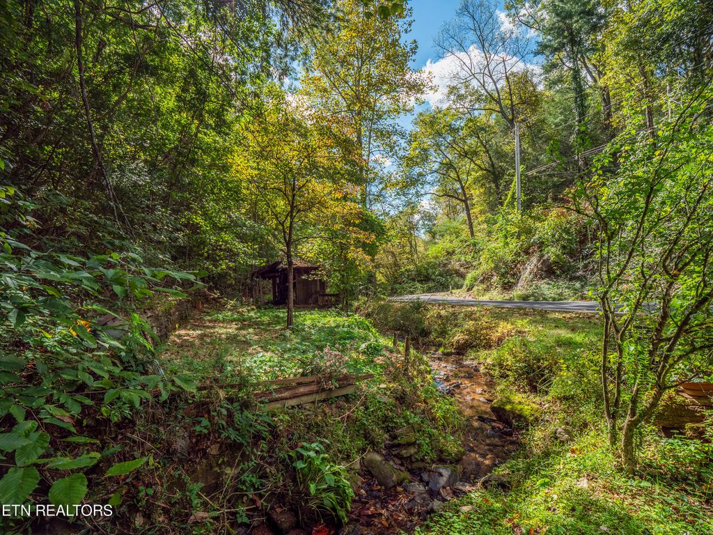 Photo of 348 Lovers Lane, Townsend, TN 37882 (MLS # 1280080)