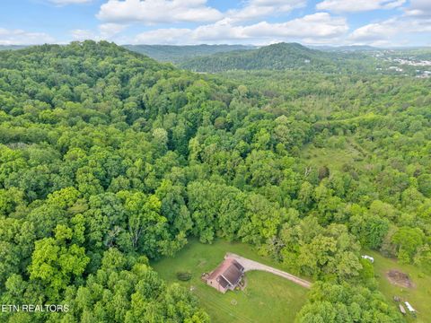 Tiny photo for 243 Bunch Lane, Clinton, TN 37716 (MLS # 1325158)