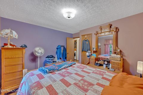 Tiny photo for 243 Bunch Lane, Clinton, TN 37716 (MLS # 1325158)