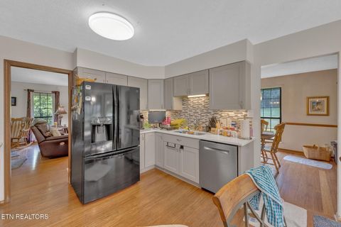 Tiny photo for 243 Bunch Lane, Clinton, TN 37716 (MLS # 1325158)