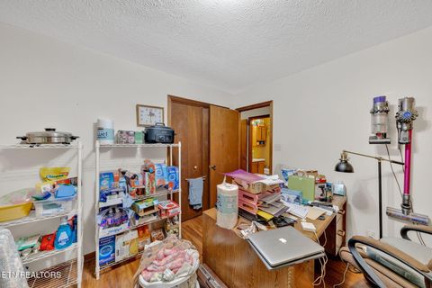 Tiny photo for 243 Bunch Lane, Clinton, TN 37716 (MLS # 1325158)