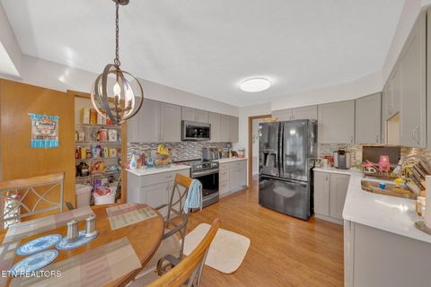 Tiny photo for 243 Bunch Lane, Clinton, TN 37716 (MLS # 1325158)