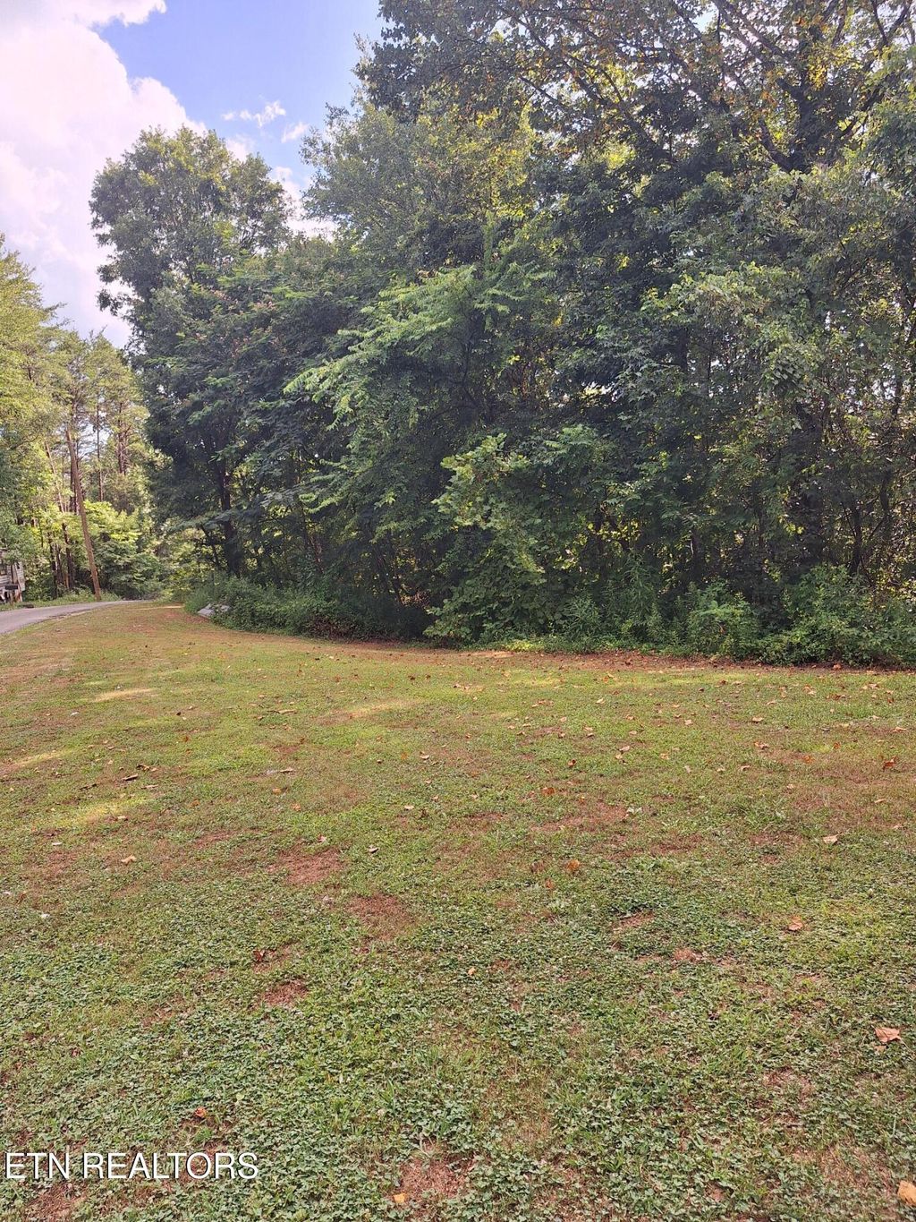 Photo of Mountain Rd, Tellico Plains, TN 37385 (MLS # 1308993)