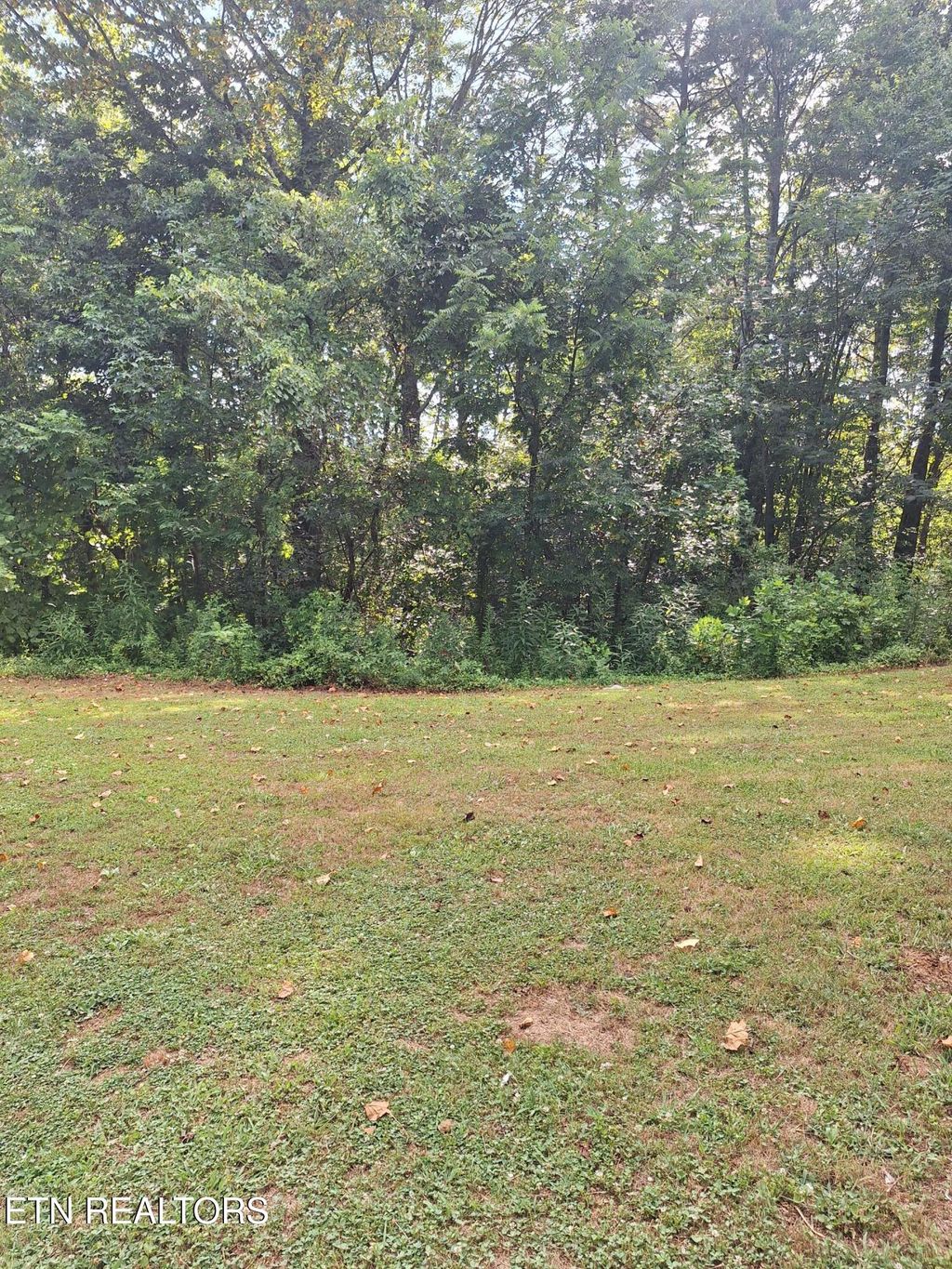 Photo of Mountain Rd, Tellico Plains, TN 37385 (MLS # 1308993)