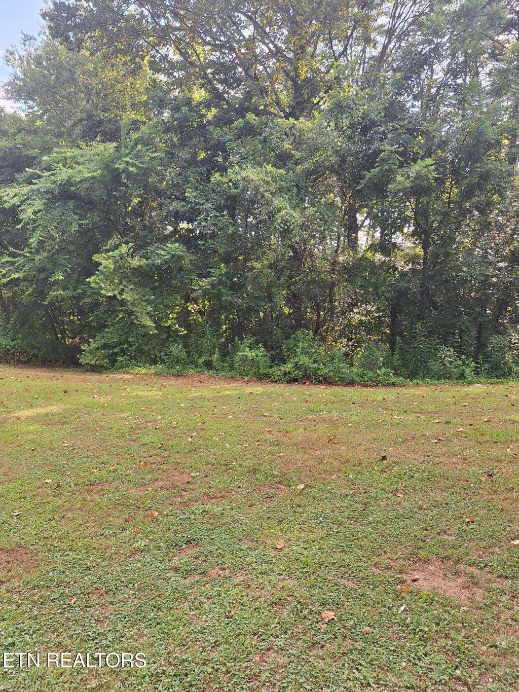 Photo of Mountain Rd, Tellico Plains, TN 37385 (MLS # 1308993)