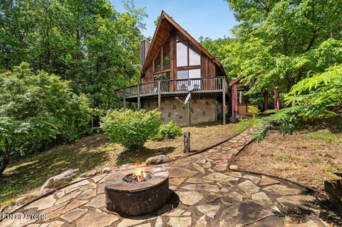 2295 Bluff Mountain Rd Sevierville TN 37876