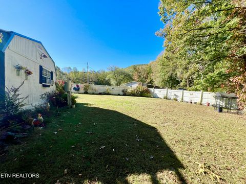Tiny photo for 284 Ray Cross Rd, Harriman, TN 37748 (MLS # 1318890)