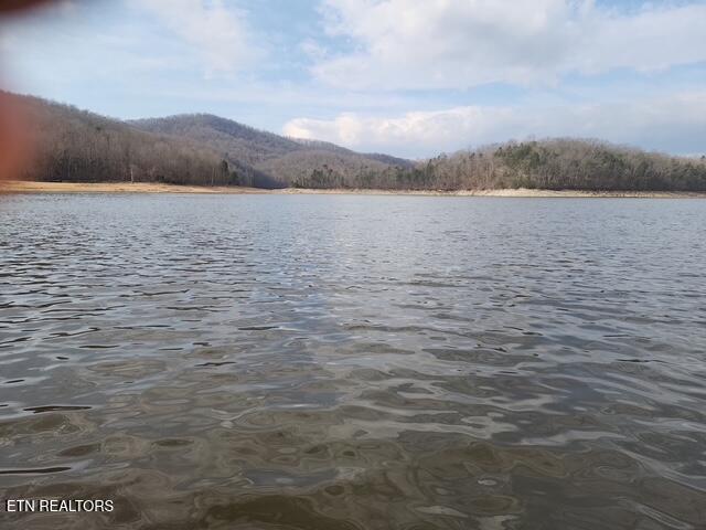 431 Powell Valley Marine Rd