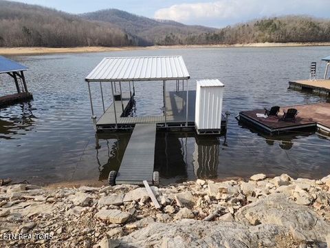 Tiny photo for 431 Powell Valley Marine Rd, LaFollette, TN 37766 (MLS # 1334542)