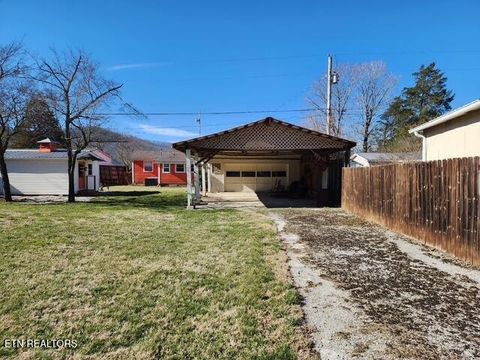 Tiny photo for 431 Powell Valley Marine Rd, LaFollette, TN 37766 (MLS # 1334542)