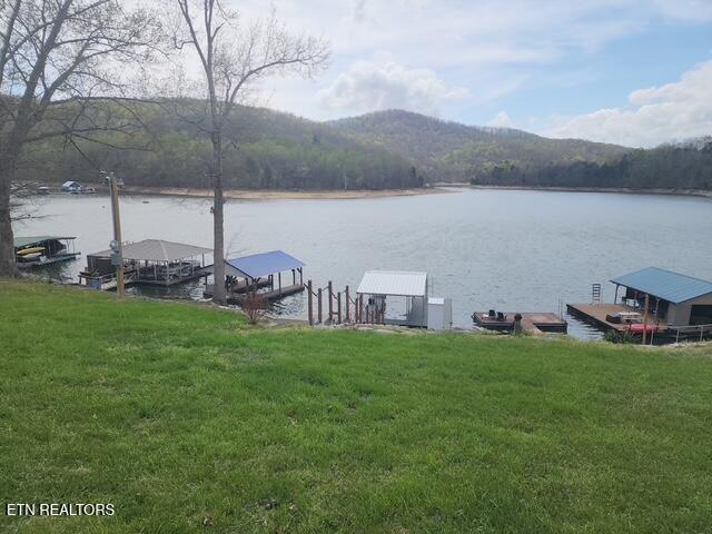 431 Powell Valley Marine Rd