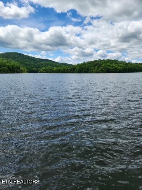 Tiny photo for 431 Powell Valley Marine Rd, LaFollette, TN 37766 (MLS # 1334542)