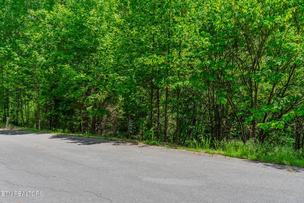 Photo of Lot 564 Tortoiseshell Circle, New Tazewell, TN 37825 (MLS # 1301255)