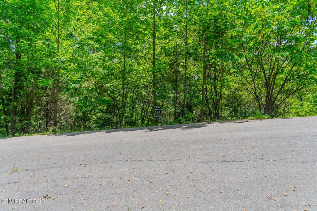 Photo of Lot 564 Tortoiseshell Circle, New Tazewell, TN 37825 (MLS # 1301255)