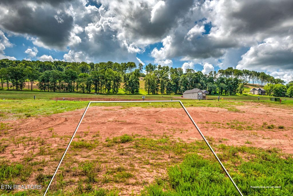 Photo of 695 Black Bear Circle, Loudon, TN 37774 (MLS # 1306573)