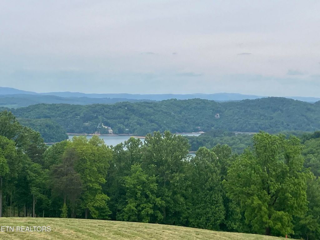 Photo of 5 Sara Lane, Maynardville, TN 37807 (MLS # 1339981)