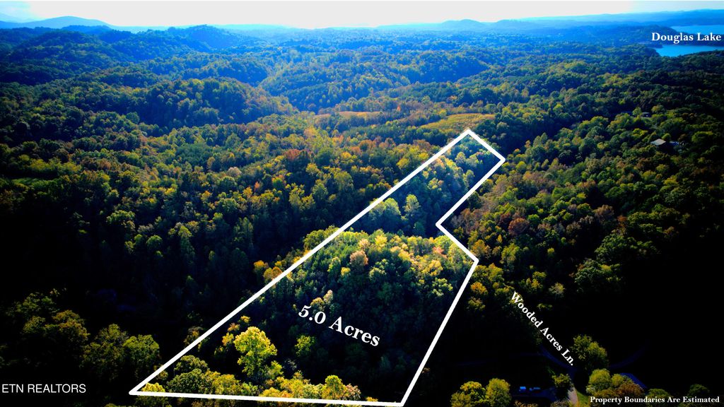 Photo of TBA 0-00 Upper Rinehart Rd, Dandridge, TN 37725 (MLS # 1310826)