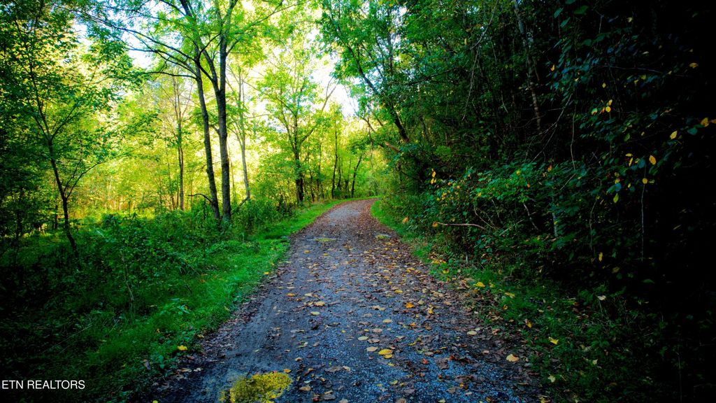 Photo of TBA 0-00 Upper Rinehart Rd, Dandridge, TN 37725 (MLS # 1310826)