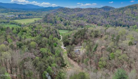 Tiny photo for 3040 Winding Way, Cosby, TN 37722 (MLS # 1335905)