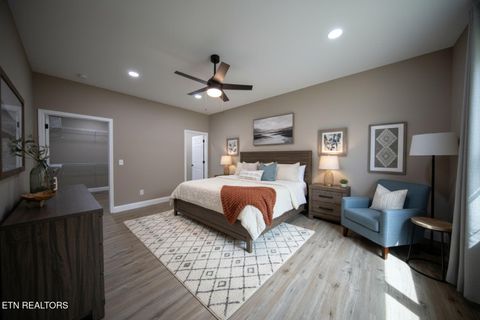 Tiny photo for 3040 Winding Way, Cosby, TN 37722 (MLS # 1335905)