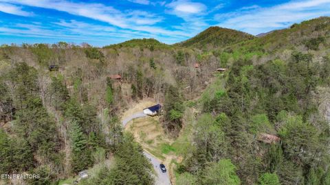 Tiny photo for 3040 Winding Way, Cosby, TN 37722 (MLS # 1335905)