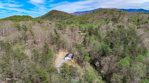 Tiny photo for 3040 Winding Way, Cosby, TN 37722 (MLS # 1335905)