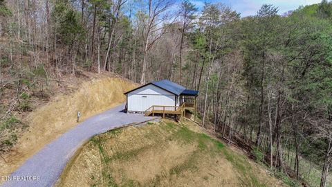 Tiny photo for 3040 Winding Way, Cosby, TN 37722 (MLS # 1335905)
