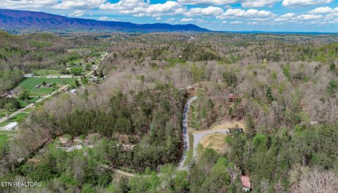 Tiny photo for 3040 Winding Way, Cosby, TN 37722 (MLS # 1335905)