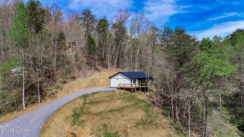 Tiny photo for 3040 Winding Way, Cosby, TN 37722 (MLS # 1335905)