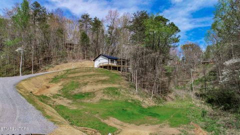 Tiny photo for 3040 Winding Way, Cosby, TN 37722 (MLS # 1335905)