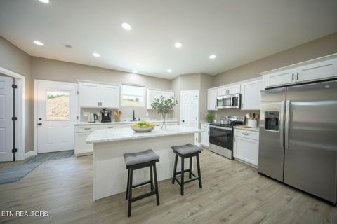 Tiny photo for 3040 Winding Way, Cosby, TN 37722 (MLS # 1335905)