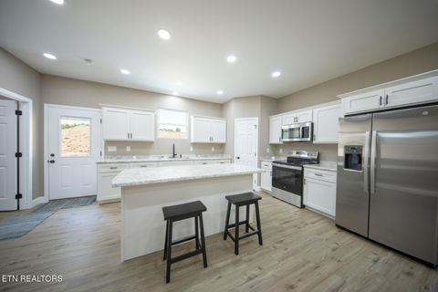 Tiny photo for 3040 Winding Way, Cosby, TN 37722 (MLS # 1335905)