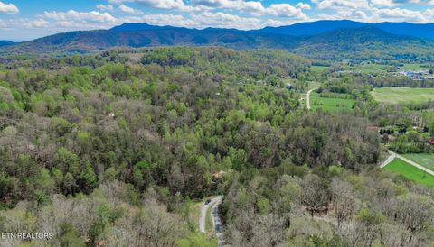 Tiny photo for 3040 Winding Way, Cosby, TN 37722 (MLS # 1335905)