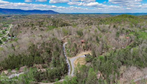 Tiny photo for 3040 Winding Way, Cosby, TN 37722 (MLS # 1335905)