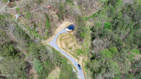 Tiny photo for 3040 Winding Way, Cosby, TN 37722 (MLS # 1335905)