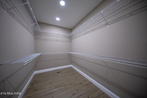 Tiny photo for 3040 Winding Way, Cosby, TN 37722 (MLS # 1335905)