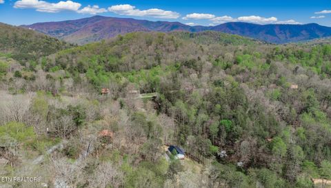 Tiny photo for 3040 Winding Way, Cosby, TN 37722 (MLS # 1335905)