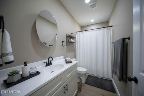 Tiny photo for 3040 Winding Way, Cosby, TN 37722 (MLS # 1335905)