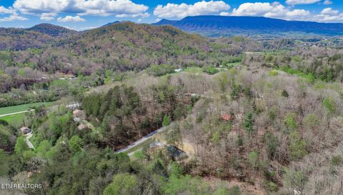 Tiny photo for 3040 Winding Way, Cosby, TN 37722 (MLS # 1335905)