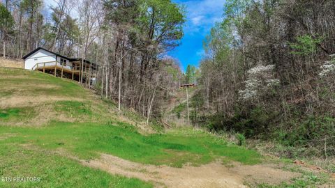 Tiny photo for 3040 Winding Way, Cosby, TN 37722 (MLS # 1335905)