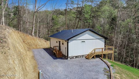 Tiny photo for 3040 Winding Way, Cosby, TN 37722 (MLS # 1335905)