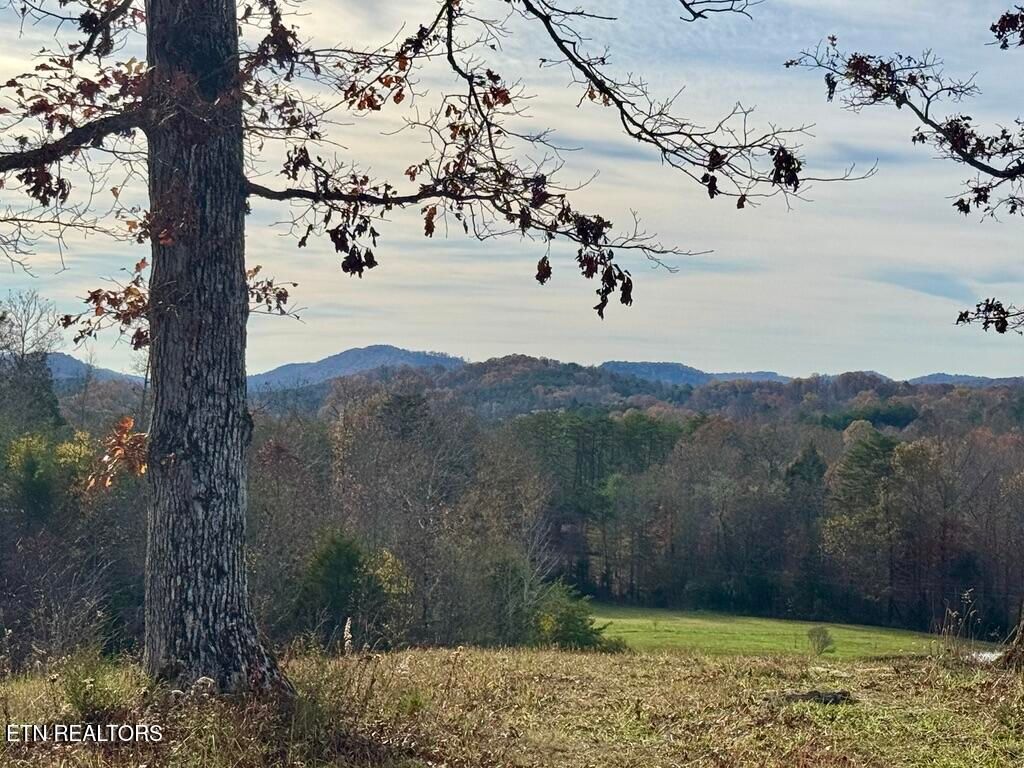 Photo of 2 Three Point Rd, Vonore, TN 37885 (MLS # 1283539)