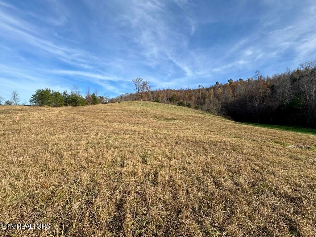 Photo of 2 Three Point Rd, Vonore, TN 37885 (MLS # 1283539)